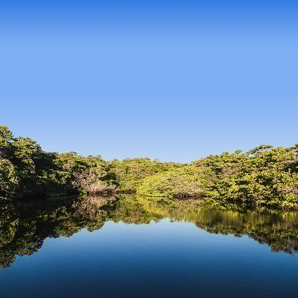 Baltra Island